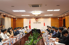 Vietnam, Japan foster trade cooperation