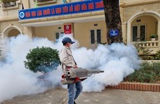 Hanoi advises residents to watch out for dengue fever risks