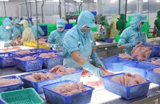 EVFTA opens door wider for Vietnamese goods to EU