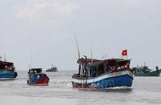 Deputy Minister inspects Hai Phong’s fight against IUU fishing