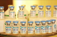 Made-in-Vietnam African swine fever vaccines to be exported to Philippines, Indonesia
