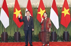 Regional media stresses significance of NA leader’s visit to Indonesia