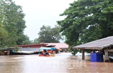 All 45 Vietnamese stranded on landslide-hit road in Laos rescued