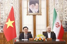 Top Vietnamese, Iranian legislators announce talks outcomes to press 