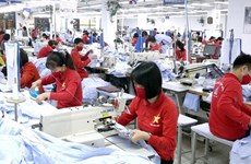 Sending Vietnamese skilled workers to Europe faces obstacles