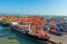 HCM City approves research project for building Can Gio int’l transshipment port