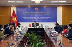 Vietnam, Uruguay should step up delegation exchanges to enhance bilateral ties: diplomat