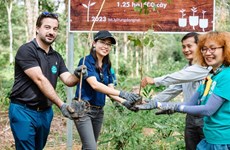 Airbus partners with French Chamber of Commerce, local NGO for community forest project in Vietnam