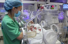 Vietnam sees great strides in saving extremely premature low weight infants