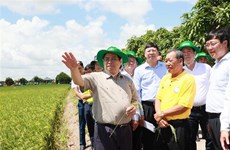 Prime Minister visits agricultural production facilities in Dong Thap