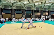 Karate tournament organised for overseas Vietnamese in Japan