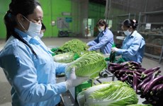Hanoi promotes agricultural product exports