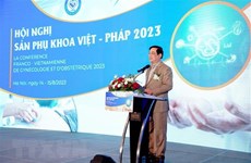 France-Vietnam gynecology, obstetrics conference opens in Hanoi
