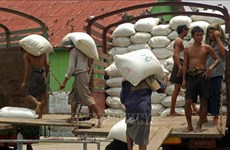 Myanmar eyes to increase rice exports in coming months