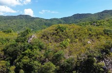 Diverse ecosystems turn Nui Chua World Biosphere Reserve into tourist attraction