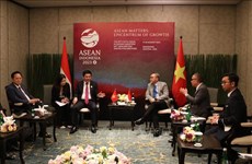 Vietnam, Indonesia seek stronger investment, trade partnership