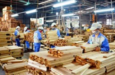Wood product export shows signs of gradual recovery