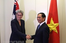 Australia attaches importance to relations with Vietnam: expert