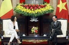 Vietnam keen on further promoting ties with Belgium: President