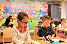 Efforts to promote Vietnamese language in Vietnamese communities abroad