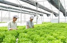 Australia funds Vietnam's tech-based innovation projects in agriculture