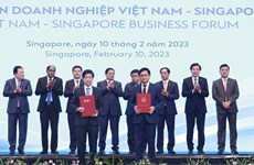 Singaporean PM’s visit expected to set future agenda for relationship with Vietnam: Ambassador
