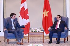 Vietnam-Canada relations enjoy “quantum leaps”: Ambassador