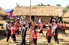 Binh Dinh to host fourth cultural ethnic culture festival in September