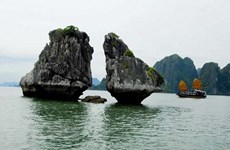 Conservation of Ha Long Bay iconic rocks to comply with world convention: Authority