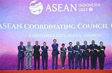ASEAN Coordinating Council discuss ways to speed up decision-making process