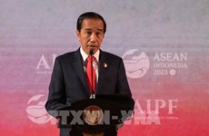 ASEAN needs 29.4 trillion USD for energy transition  