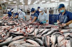 US assesses safety of Vietnam's tra fish exports