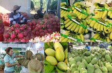 AgroViet 2023 to promote Vietnamese, foreign agricultural products 