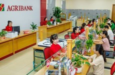 Banks join in promoting green credit