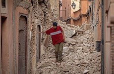  Morocco earthquake: No Vietnamese victim reported so far: Ambassador