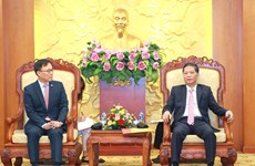 Vietnam views RoK as important, long-term strategic partner: Party official