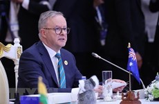 ASEAN-Australia economic cooperation expected to grow further