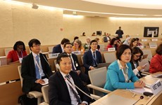 Ambassador stresses Vietnam’s policy on promoting, protecting human rights for all