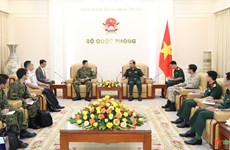 Vietnam, Japan promote partnership in UN peacekeeping operations