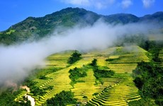 Culture Week held to celebrate 120 years of tourism in Sapa