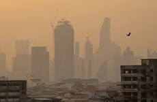 Air pollution shortens Thais' lifespan by 1.8 years: report