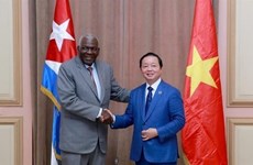Vietnamese Deputy PM meets with Cuban leaders