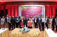 Vietnamese firms seek to boost trade ties with businesses in Thailand's northeastern region