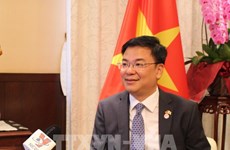 Ample room remains for Vietnam-Japan relations: diplomat, professors