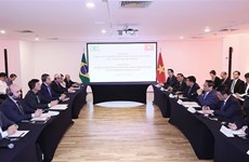 Vietnamese, Brazilian firms asked to work together to raise trade to 10 billion USD