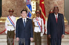 Vietnam - Cuba relations far beyond all diplomatic, political levels: official
