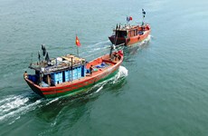 Vietnam to host EC inspection team for anti-IUU fishing in October
