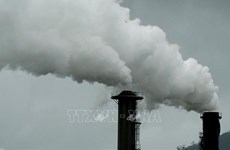 Vietnam makes efforts to develop domestic carbon market
