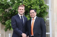 Parliamentary diplomacy - crucial link in France-Vietnam relations: parliamentarian