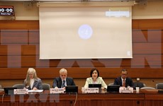Vietnam attends quarterly meeting of ASEAN Committee in Geneva